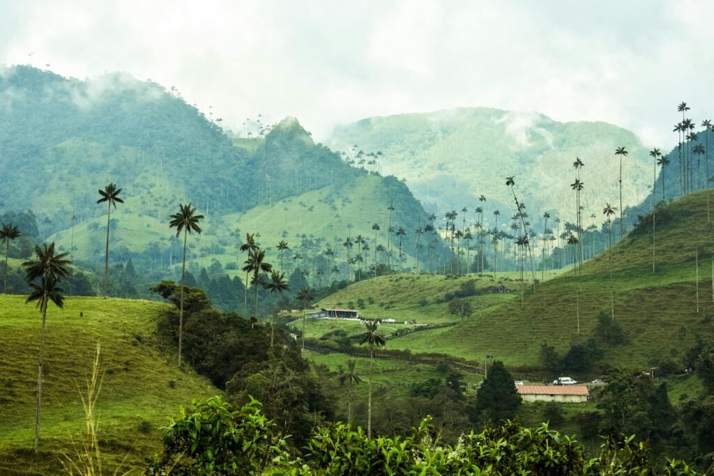 paisaje del valle del cocora en colombia con montañas andinas y palmas de cera en zona cafetera