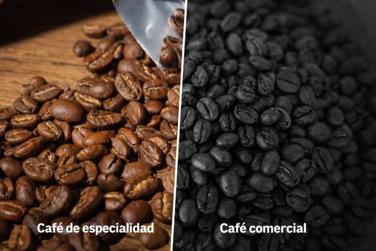 Comparación visual entre café de especialidad y café comercial mostrando diferencias de calidad