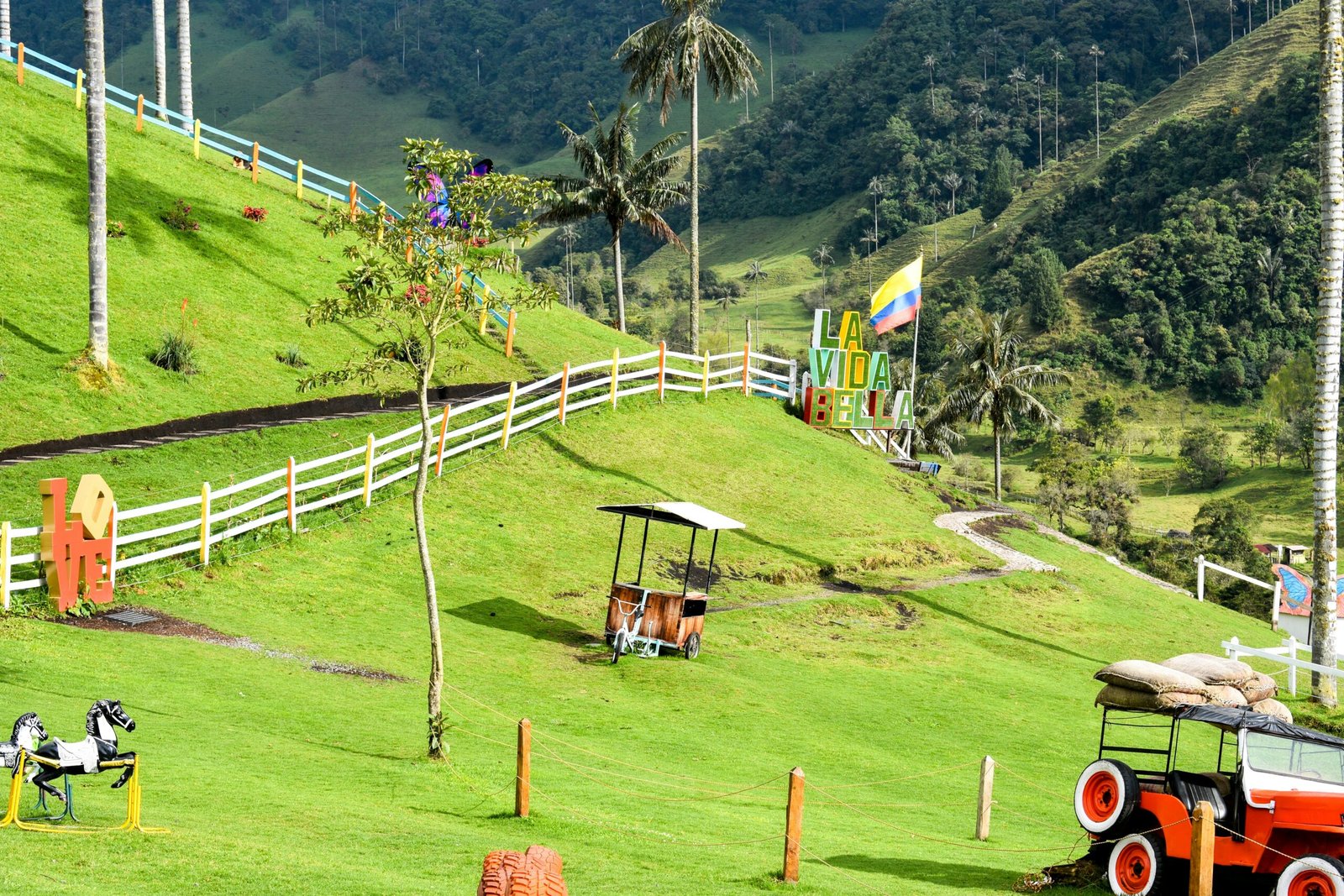 café de Colombia cultivado en montaña con granos de alta calidad